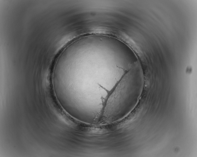 X0000102390347200808011605