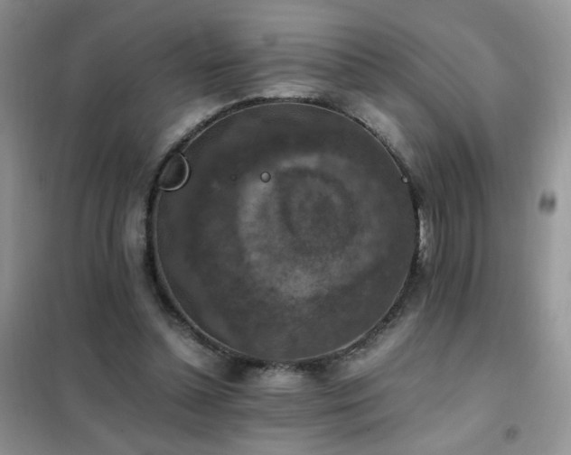 X0000102390348200808011605