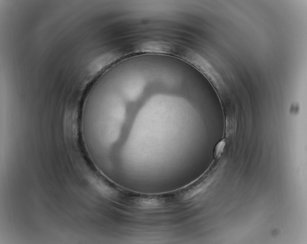 X0000102390349200808011605