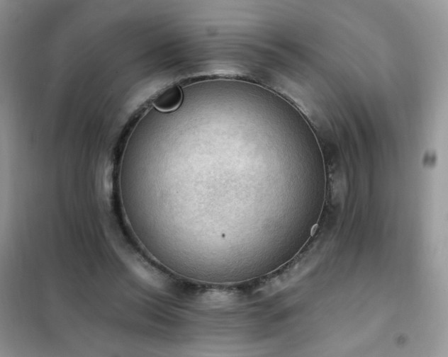 X0000102390350200808011605