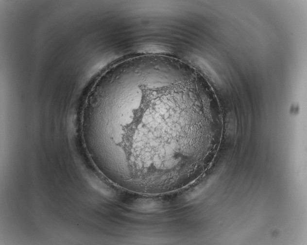 X0000102390351200808011605