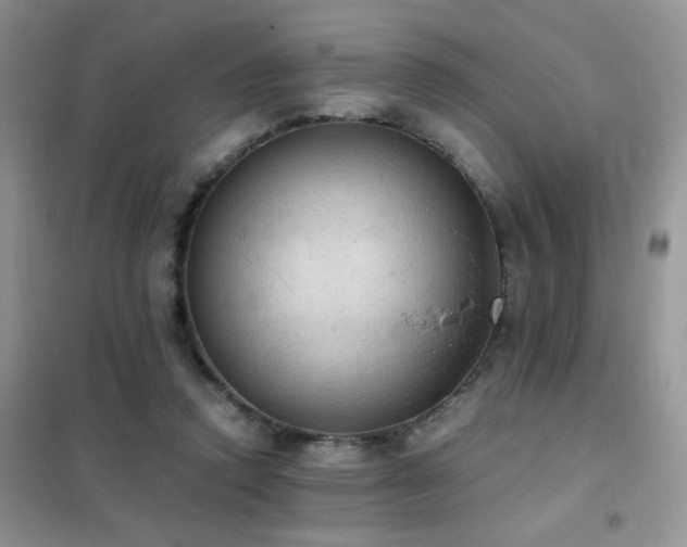 X0000102390354200808011605