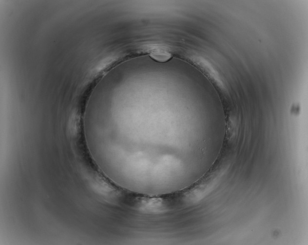 X0000102390355200808011605