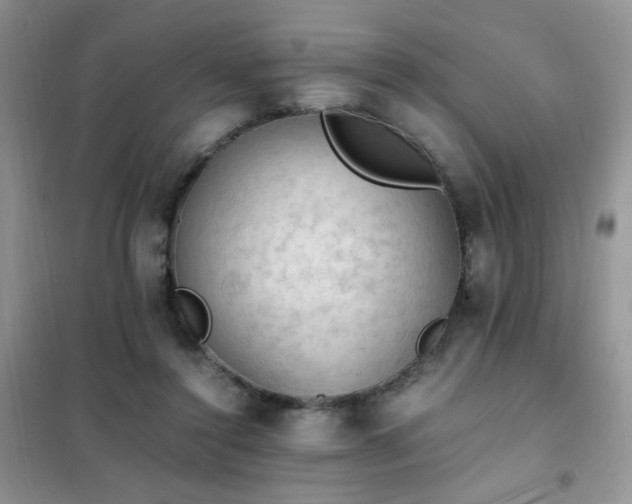 X0000102390356200808011605