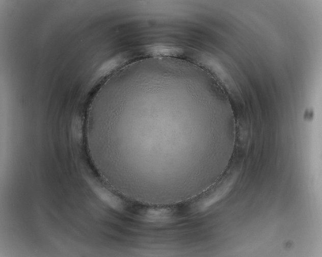 X0000102390357200808011605