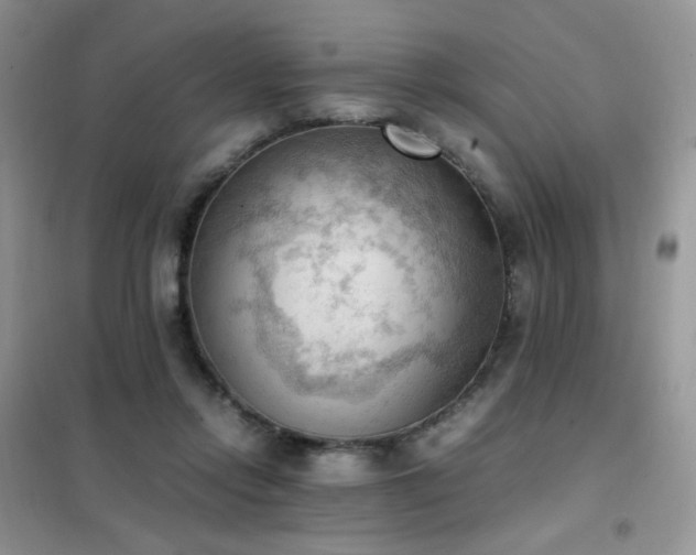 X0000102390358200808011605