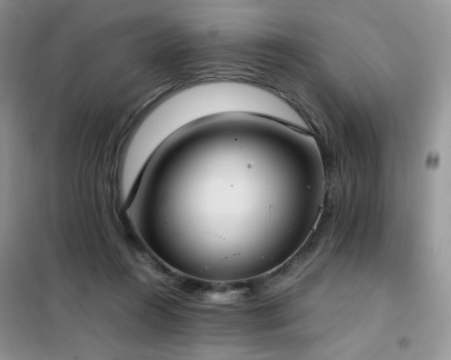 X0000102390360200808011605