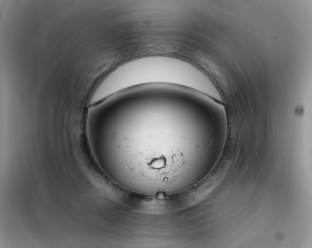 X0000102390362200808011605