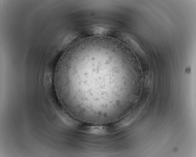 X0000102390363200808011605