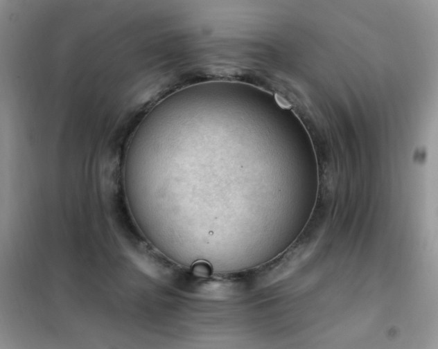 X0000102390364200808011605