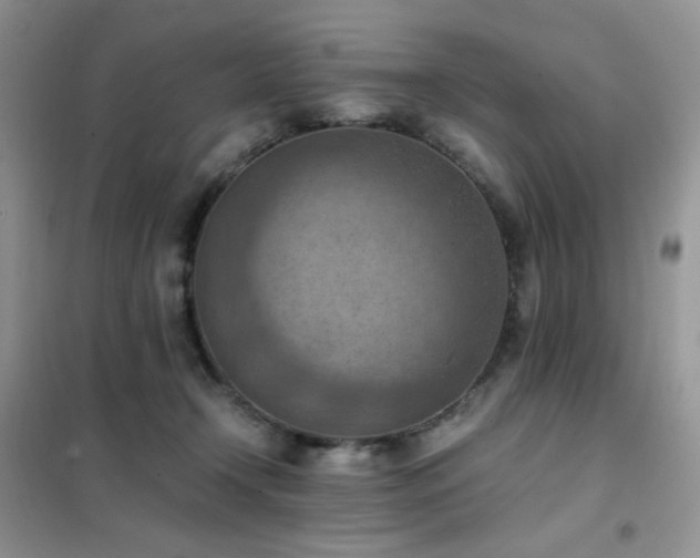 X0000102390366200808011605