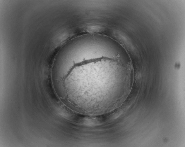 X0000102390367200808011605