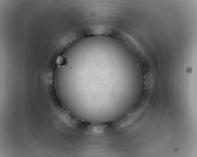 X0000102390368200808011606