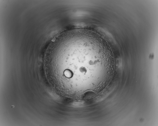 X0000102390369200808011606