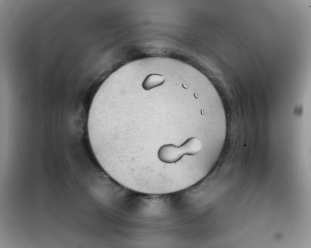 X0000102390370200808011606