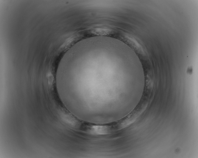 X0000102390371200808011606