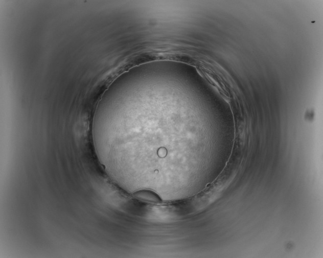 X0000102390372200808011606