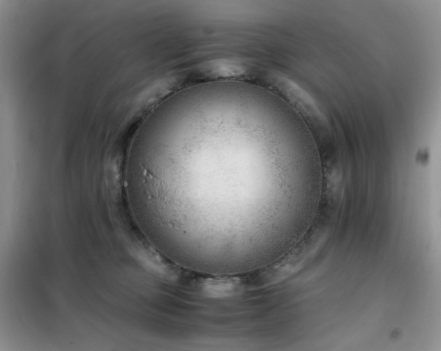 X0000102390373200808011606