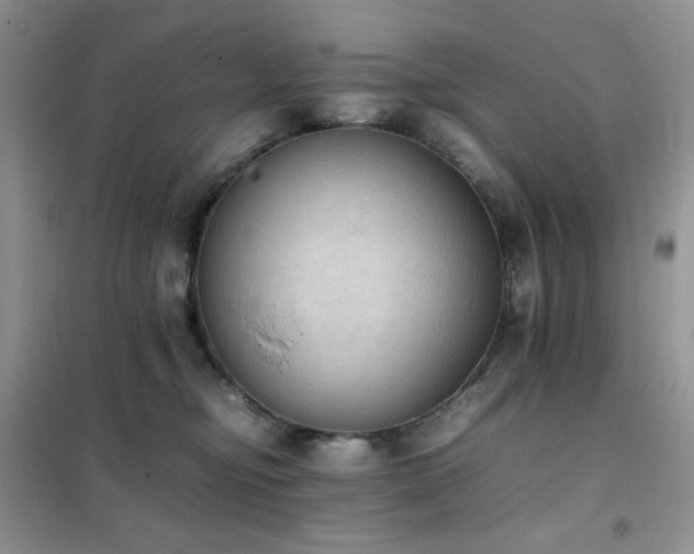 X0000102390374200808011606