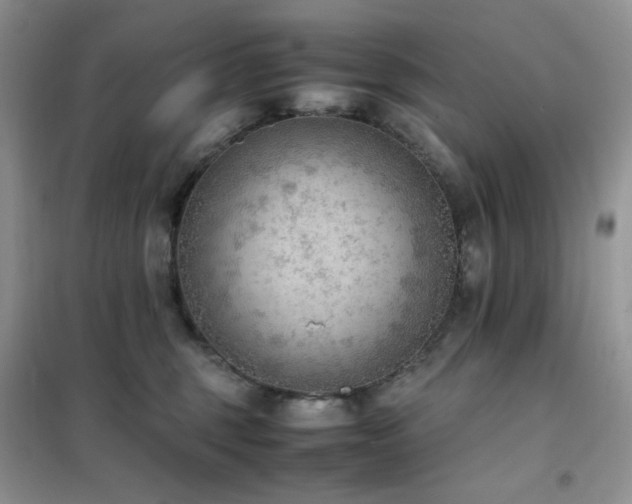 X0000102390375200808011606