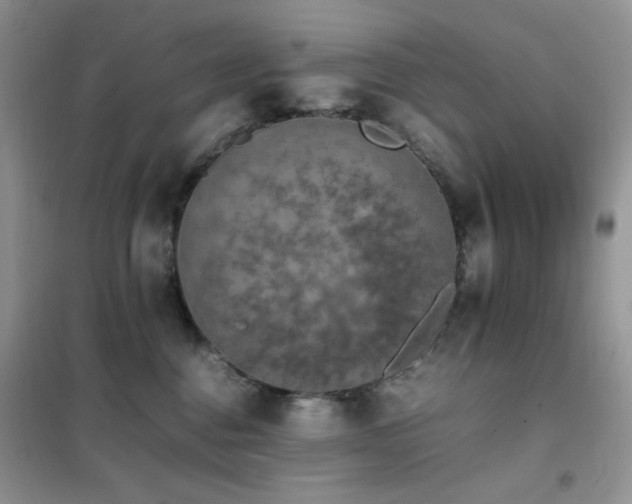 X0000102390376200808011606