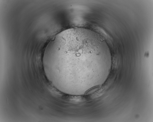 X0000102390377200808011606