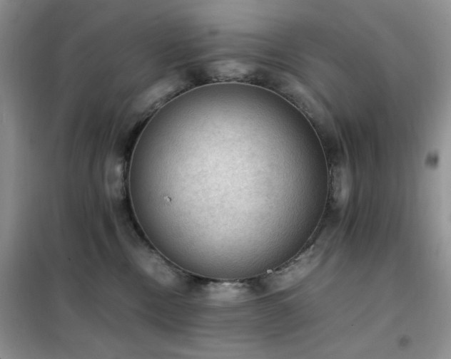 X0000102390378200808011606