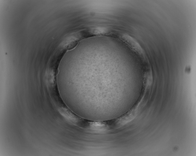 X0000102390380200808011606