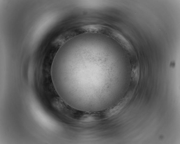 X0000102390381200808011606