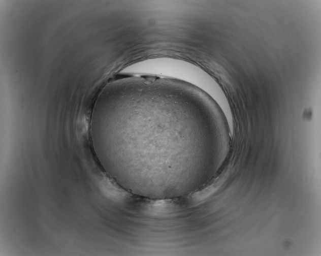 X0000102390382200808011606