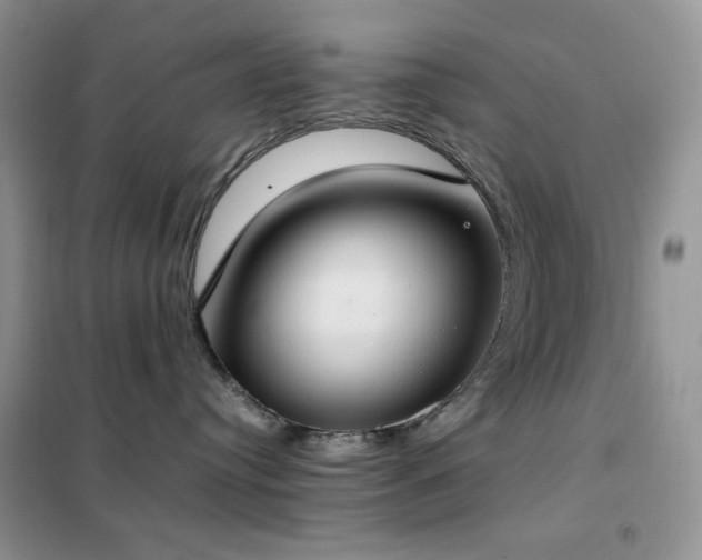 X0000102390384200808011606