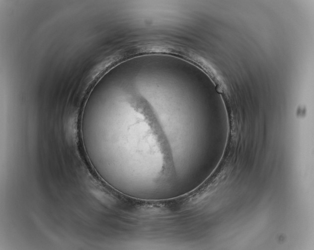 X0000102390386200808011605