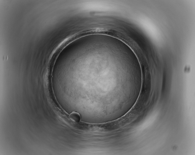 X0000102390387200808011605