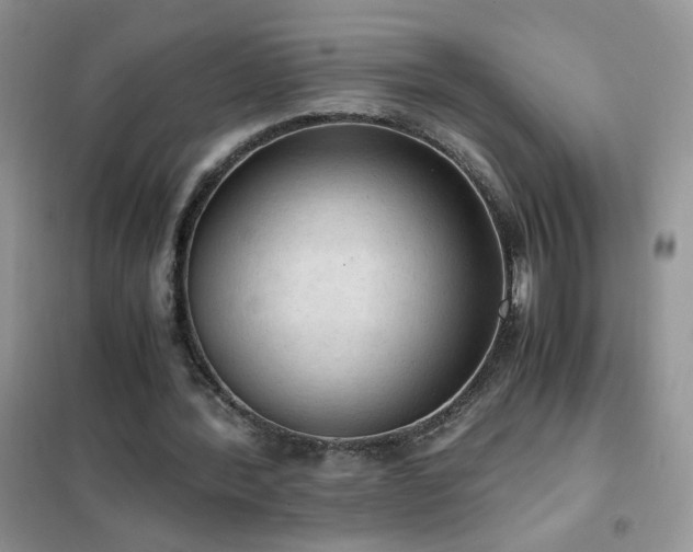 X0000102390388200808011605