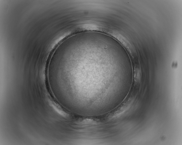 X0000102390390200808011605