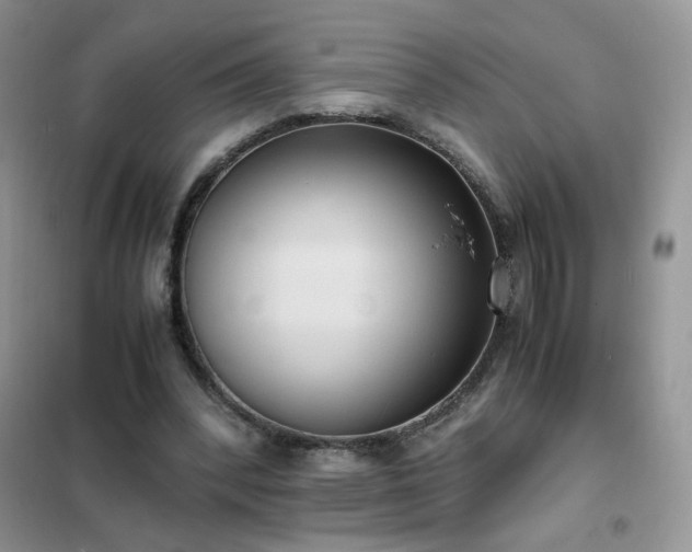 X0000102390392200808011605