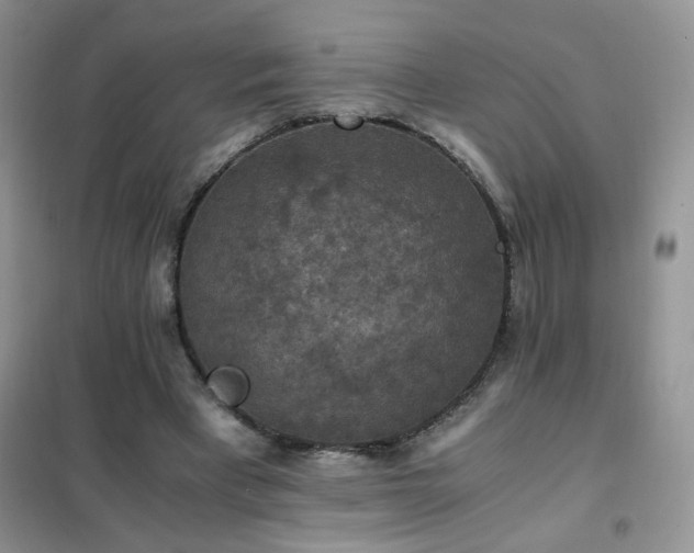 X0000102390393200808011605