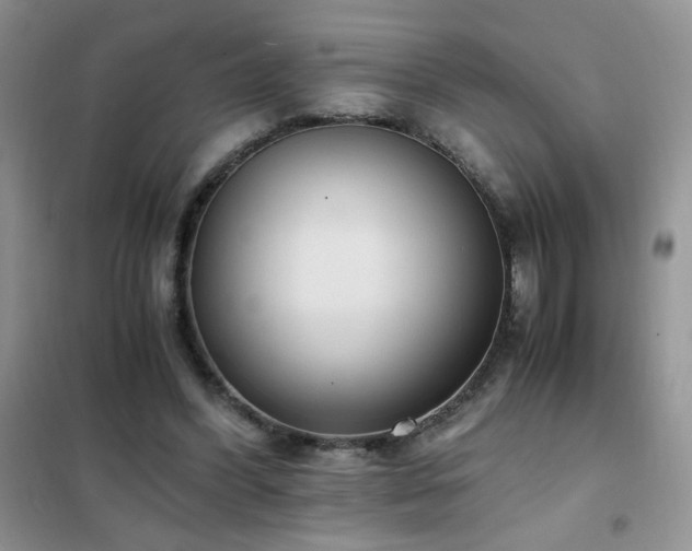 X0000102390396200808011605