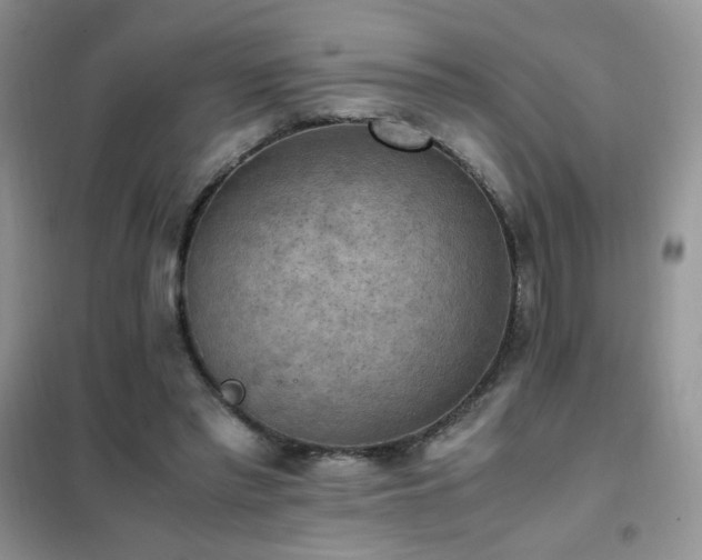 X0000102390397200808011605