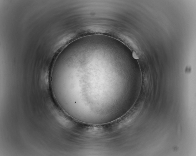 X0000102390398200808011605