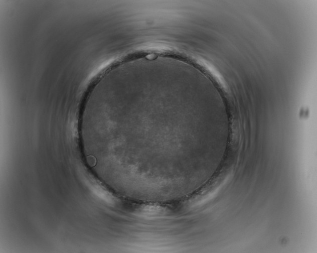 X0000102390399200808011605