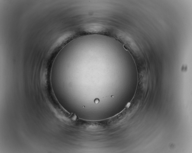 X0000102390400200808011605