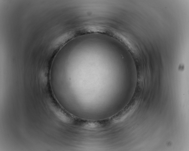 X0000102390402200808011605