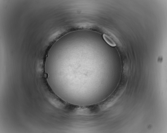 X0000102390403200808011605