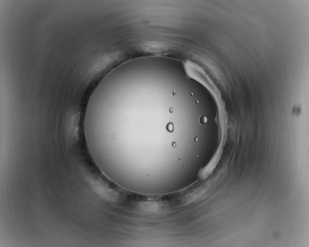 X0000102390404200808011605