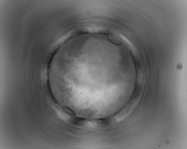 X0000102390405200808011605