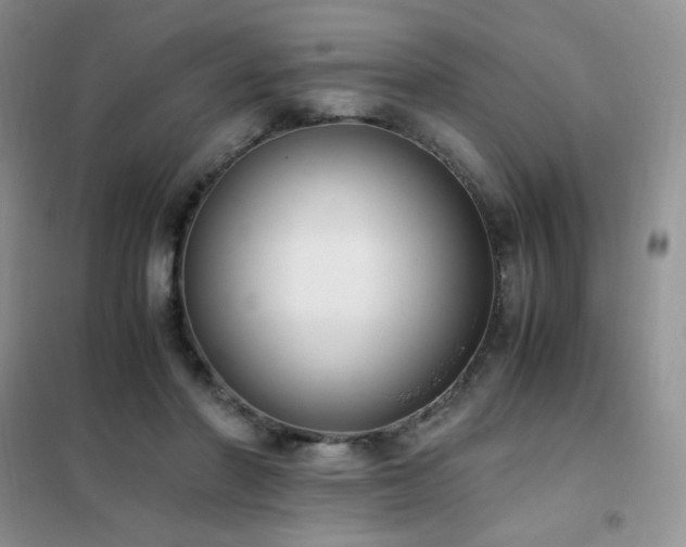 X0000102390406200808011605