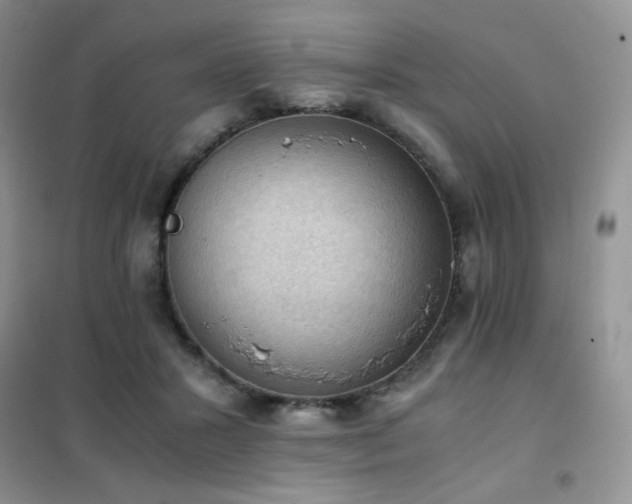 X0000102390407200808011605