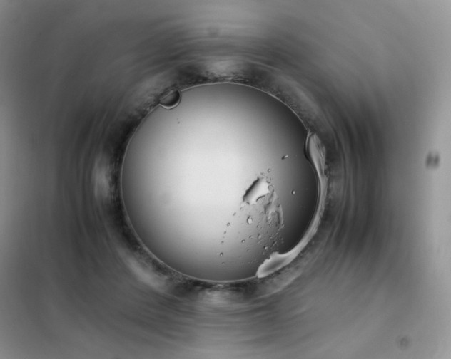 X0000102390408200808011605