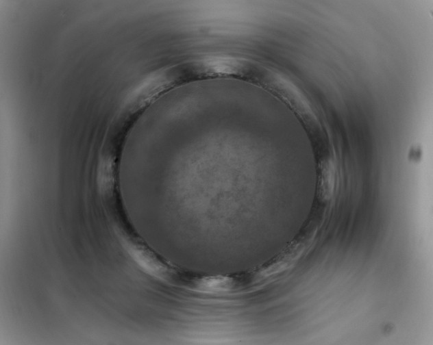 X0000102390410200808011605